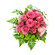 pink roses with chrysanthemums